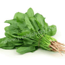 Spinach  Palak