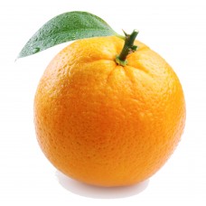Kinno - Orange Premium